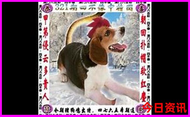 三清山十大必去景点